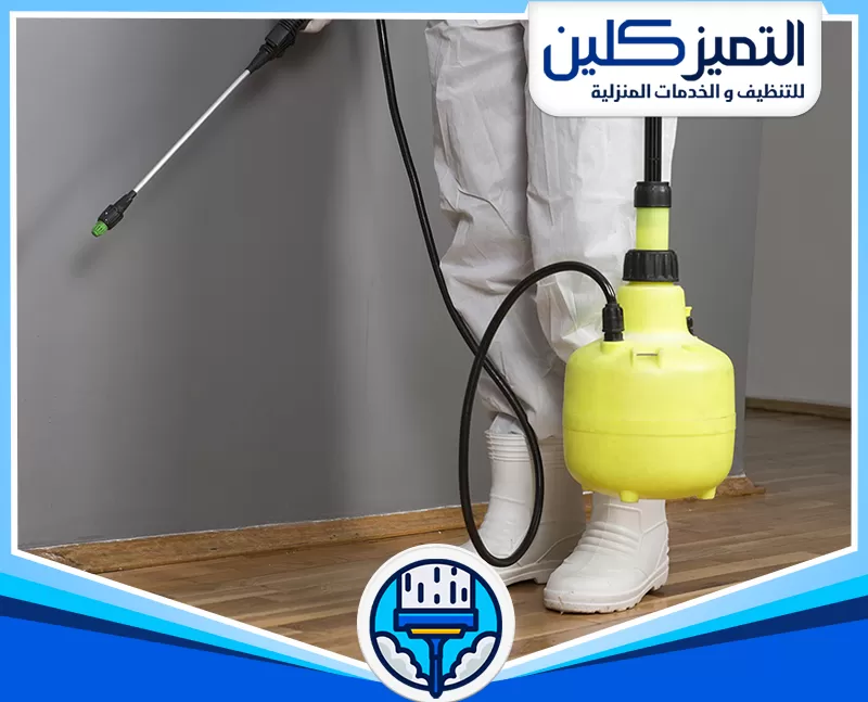 خدمات عقود مكافحة الحشرات بمكة