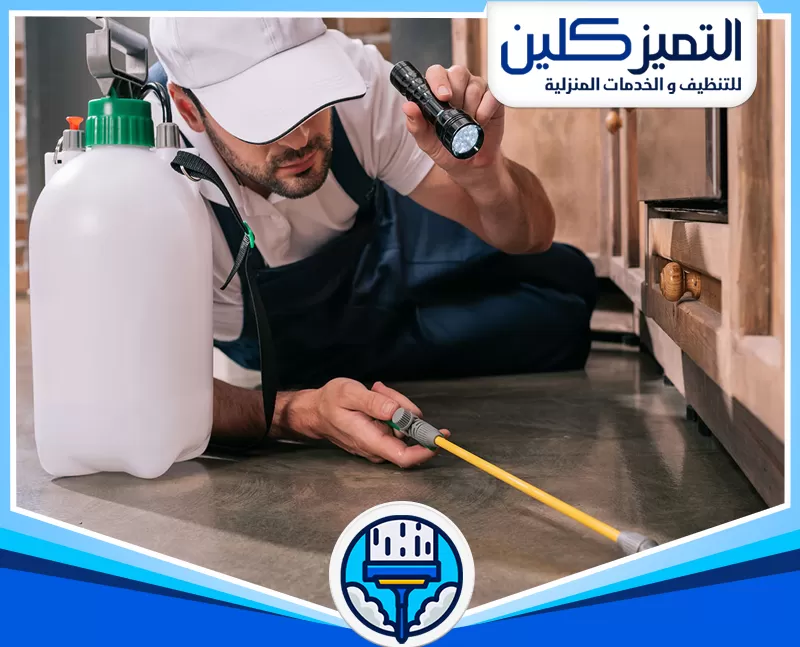 شركة رش حشرات بمكة