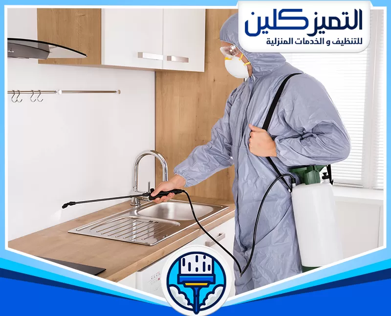 شركة مكافحة الذباب بمكة