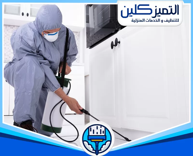 أرخص شركة مكافحة حشرات بمكة