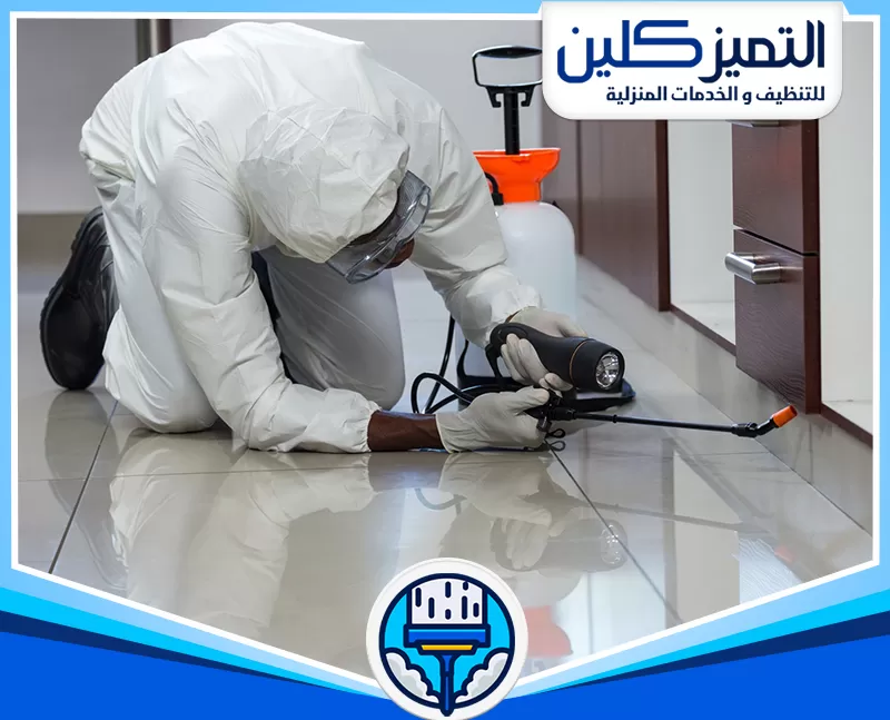 أرخص شركة مكافحة حشرات بجدة​